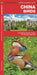 China Birds: A Folding Pocket Guide to Familiar Species by James Kavanagh