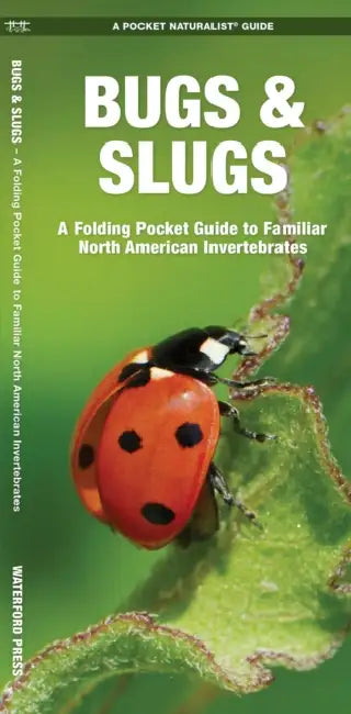 Bugs & Slugs: A Folding Pocket Guide to Familiar North American Invertebrates by James Kavanagh, Waterford Press, Raymond Leung