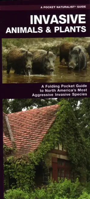 Invasive Species of North America by James Kavanagh, Waterford Press