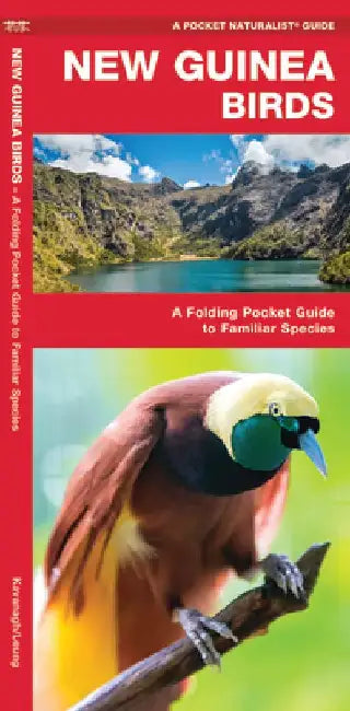 New Guinea Birds: A Folding Pocket Guide to Familiar Species by James Kavanagh