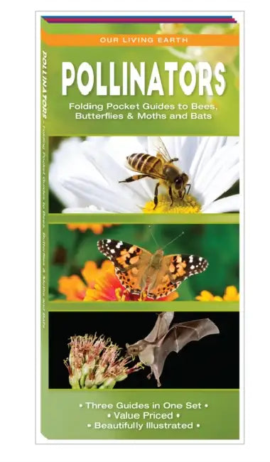 Pollinators: Folding Pocket Guides to Bees, Butterflies & Moths and Bats by James Kavanagh