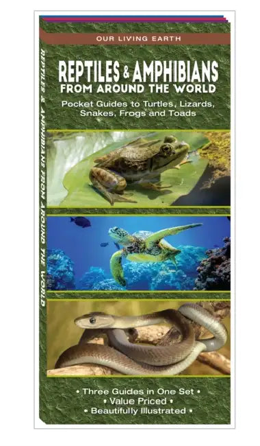 Reptiles & Amphibians from Around the World: Pocket Guides to Turtles, Lizards, Snakes, Frogs and Toads by James Kavanagh