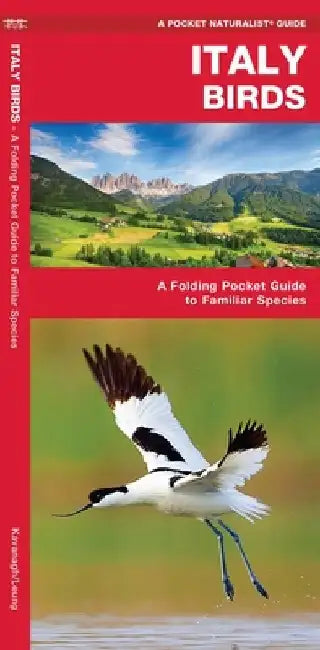 Italy Birds by James, Waterford Press Kavanagh