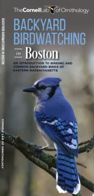 Backyard Birdwatching in Boston: An Introduction to Birding and Common Backyard Birds of Eastern Massachusetts by The, Waterford Press, Pedro Fernandes