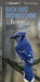 Backyard Birdwatching in Boston: An Introduction to Birding and Common Backyard Birds of Eastern Massachusetts by The, Waterford Press, Pedro Fernandes