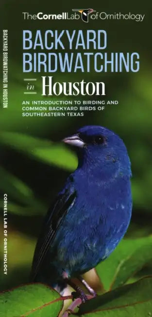 Backyard Birdwatching in Houston: An Introduction to Birding and Common Backyard Birds of Southeastern Texas by The, Waterford Press, Pedro Fernandes