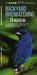 Backyard Birdwatching in Houston: An Introduction to Birding and Common Backyard Birds of Southeastern Texas by The, Waterford Press, Pedro Fernandes
