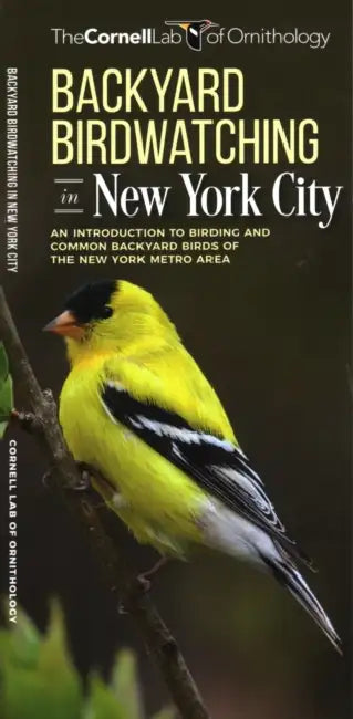 Backyard Birdwatching in New York City: An Introduction to Birding and Common Backyard Birds of the New York Metro Area by The, Waterford Press, Pedro Fernandes