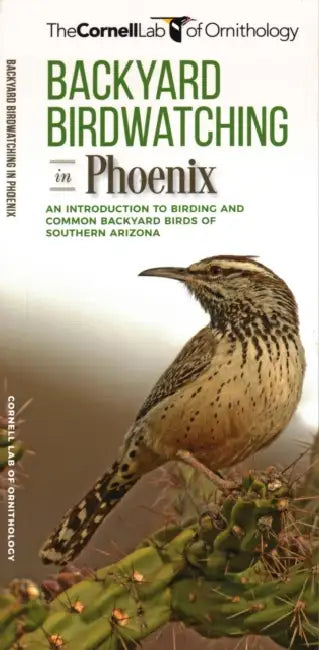 Backyard Birdwatching in Phoenix: An Introduction to Birding and Common Backyard Birds of Southern Arizona by The, Waterford Press, Pedro Fernandes