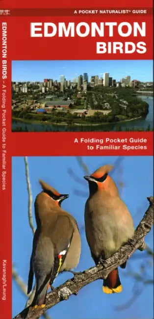 Edmonton Birds: A Folding Pocket Guide to Familiar Species by James Kavanagh, Raymond Leung