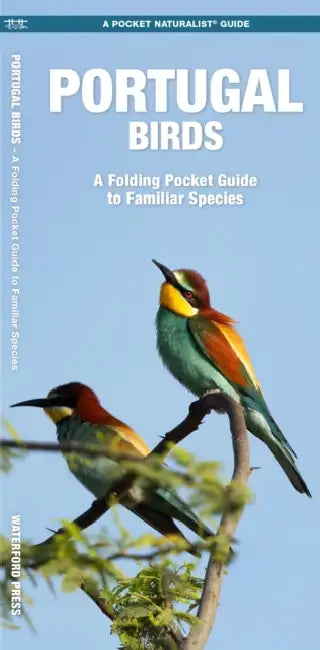 Portugal Birds: A Folding Pocket Guide to Familiar Species by James Kavanagh