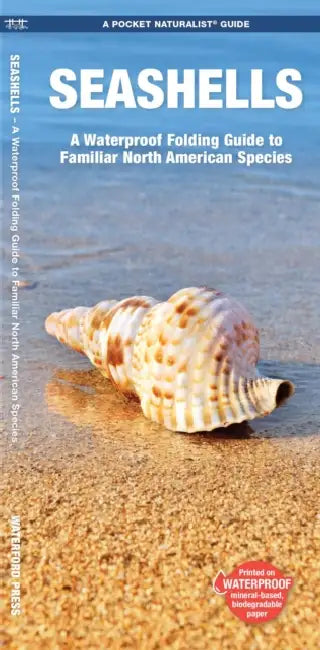 Seashells: A Waterproof Folding Guide to Familiar North American Species by James Kavanagh