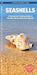 Seashells: A Waterproof Folding Guide to Familiar North American Species by James Kavanagh