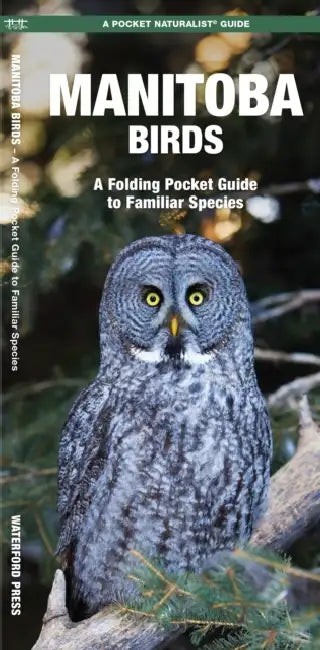 Manitoba Birds: An Introduction to Familiar Species by James Kavanagh, Raymond Leung