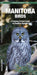 Manitoba Birds: An Introduction to Familiar Species by James Kavanagh, Raymond Leung