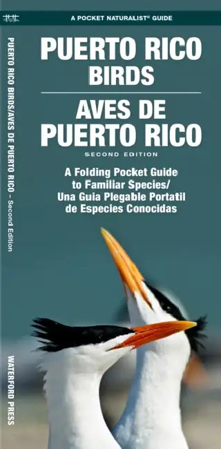 Puerto Rico Birds/Aves de Puerto Rico, 2nd Ed by James Kavanagh, Raymond Leung, Waterford Press