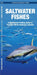Saltwater Fishes: A Waterproof Folding Guide to Familiar North American Species by Waterford Press, Raymond Leung