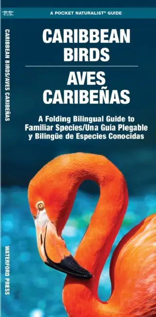Caribbean Birds: A Waterproof Folding Guide to Familiar Species by Waterford Press, Raymond Leung