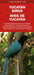 Yucatan Birds/Aves de Yucatan: A Folding Pocket Guide to Familiar Species/Una Guia Plegable Portatil de Especies Conocidas by Waterford Press, Raymond Leung