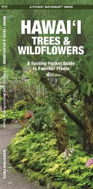 Hawai'i Trees & Wildflowers: A Folding Pocket Guide to Familiar Plants by Waterford Press