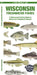 Wisconsin Freshwater Fishes by Matthew, Waterford Press Morris