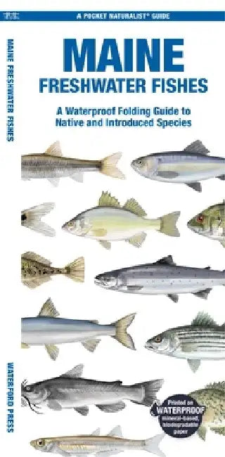 Maine Freshwater Fishes: A Waterproof Folding Guide to Native and Introduced Species by Waterford Press