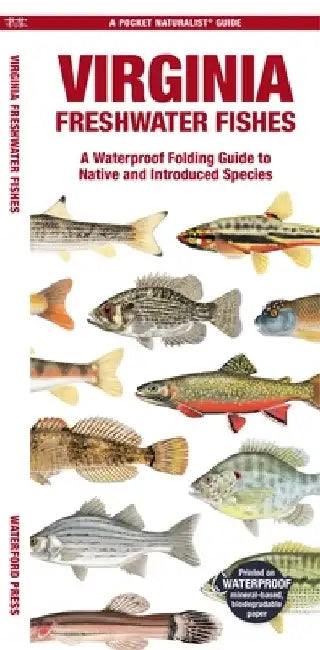 Virginia Freshwater Fishes: A Waterproof Folding Guide to Native and Introduced Species by Waterford Press