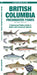 British Columbia Freshwater Fishes, 2nd Ed by Matthew Morris
