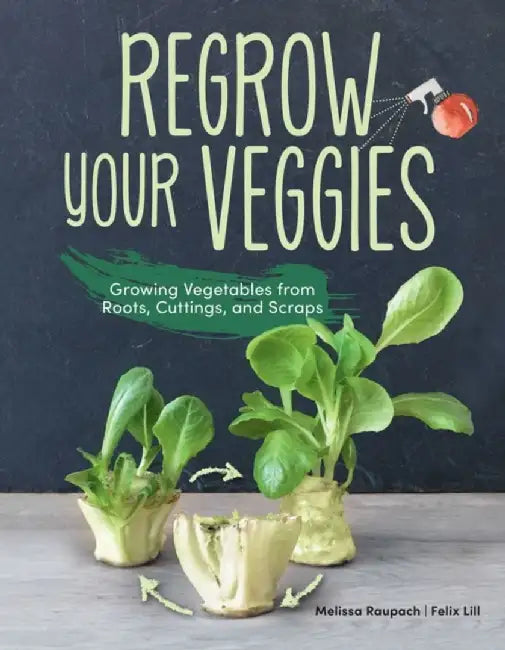 Regrow Your Veggies: How to Have an Endless Supply of Vegetables for Your Kitchen