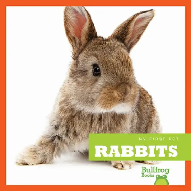Rabbits by Cari Meister