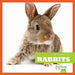 Rabbits by Cari Meister