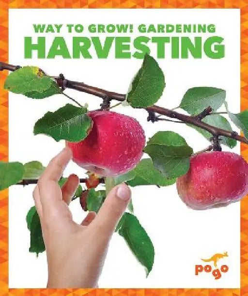 Harvesting by Rebecca Pettiford