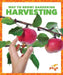 Harvesting by Rebecca Pettiford