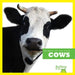 Cows by Cari Meister