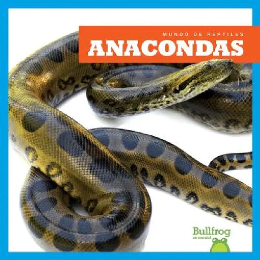 Anacondas (Anacondas) by Imogen Kingsley