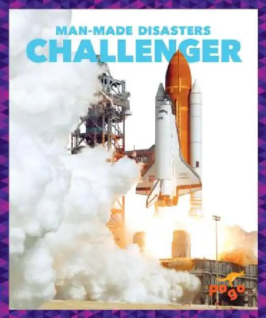 Challenger by Jenny Fretland Vanvoorst