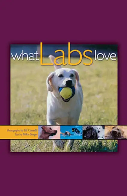 What Labs Love by Ed Camelli