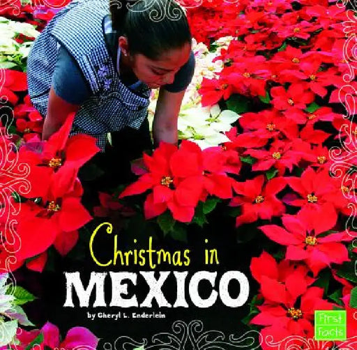 Christmas in Mexico by Cheryl L. Enderlein