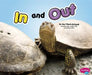 In and Out by Joy Frisch-Schmoll