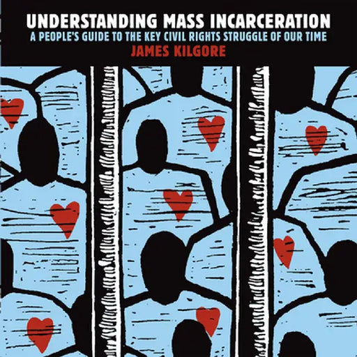 Understanding Mass Incarceration: A People's Guide to the Key Civil Rights Struggle of Our Time by James Kilgore