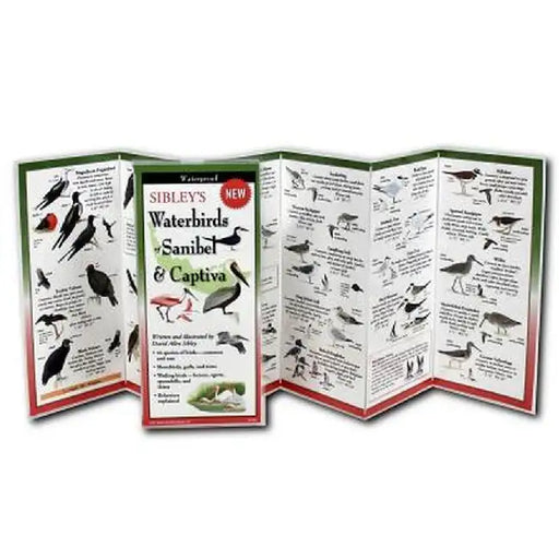 Sibley's Waterbirds of Sanibel & Captiva by David Sibley