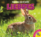 Liebres = Rabbits by Pamela McDowell