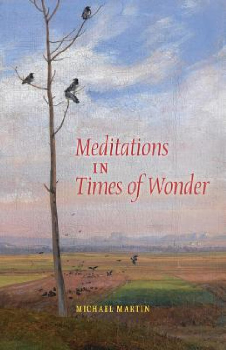 Meditations in Times of Wonder by Michael Martin