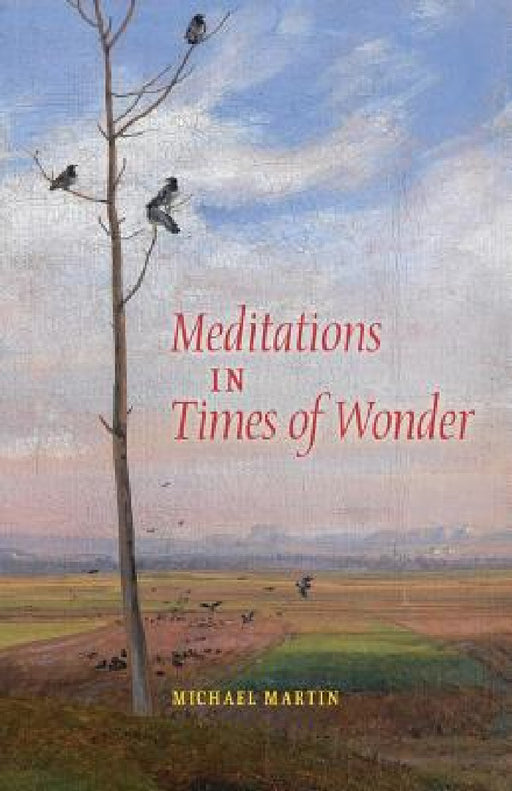 Meditations in Times of Wonder by Michael Martin