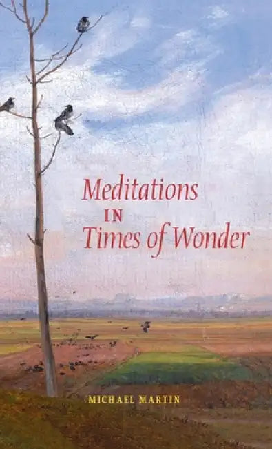 Meditations in Times of Wonder by Michael Martin