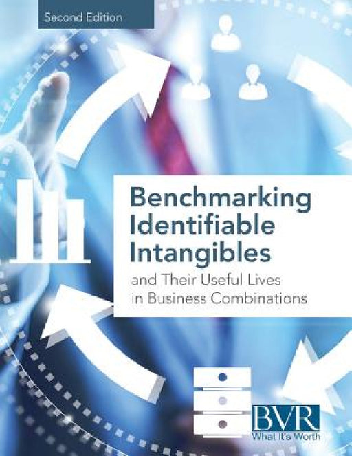 Benchmarking Identifiable Intangibles and Their Useful Lives in Business Combinations, Second Edition by Bvr