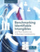 Benchmarking Identifiable Intangibles and Their Useful Lives in Business Combinations, Second Edition by Bvr