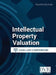 Intellectual Property Valuation Case Law Compendium, Fourth Edition by Bvr