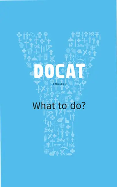 Docat: Catholic Social Teaching for Youth by Bernhard Meuser