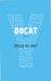 Docat: Catholic Social Teaching for Youth by Bernhard Meuser